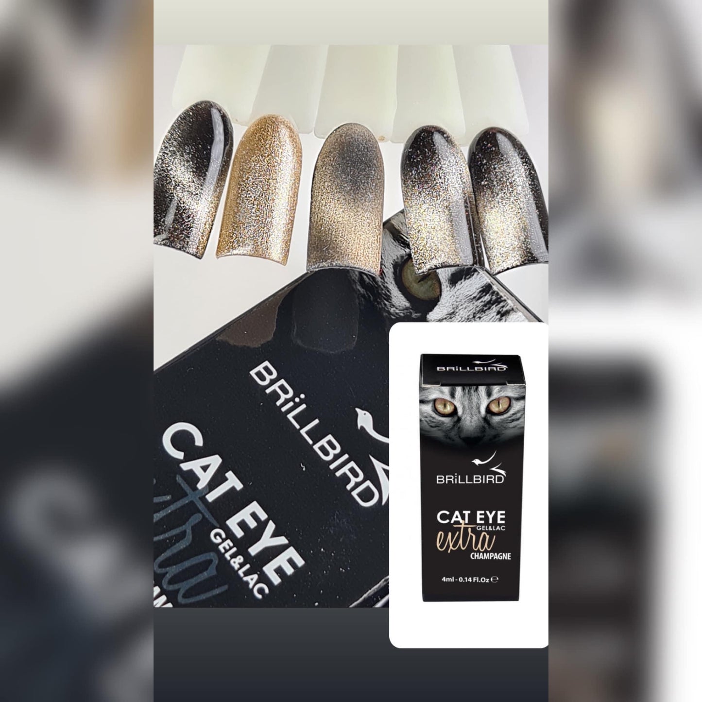 Cat Eye Extra - Champagne