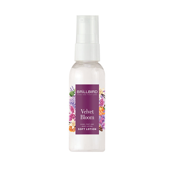 Hand & Foot Soft Lotion - Velvet bloom